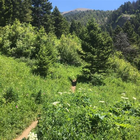 Bozeman Hiking Trails – Explore Bozeman