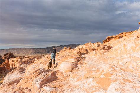 Why You Need to Visit Gold Butte National Monument » The Modern Female Hiker