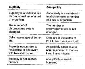 Euploidy and Aneuploidy.