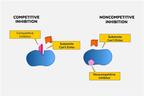 What is the difference between competitive and non-competitive inhibition?