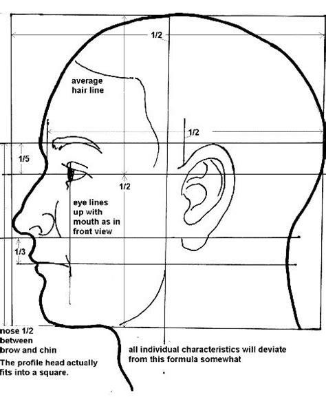 EXERCISE : Facial Proportions | Face proportions, Face drawing, Drawing the human head