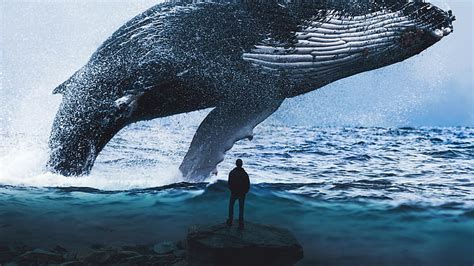 HD wallpaper: Blue, 4k, 8k, dream, whale | Wallpaper Flare