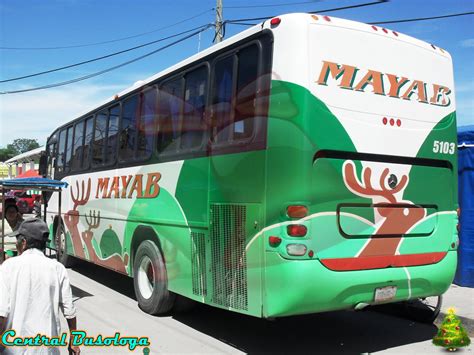 o.OCentral BusologaO.o°•: Autobuses Del Mayab.