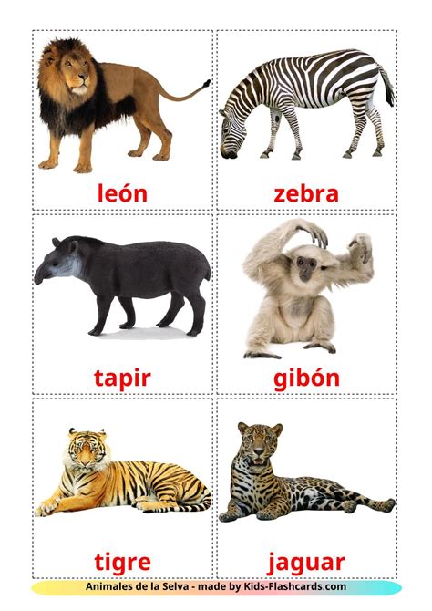 21 Tarjetas de Aprendizaje de Animales de la Selva GRATIS en PDF | Imágenes en Español