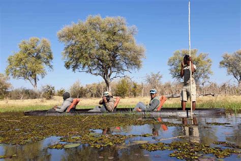 Maun: Okavango Delta Mokoro Tour and Bush Walk in Botswana