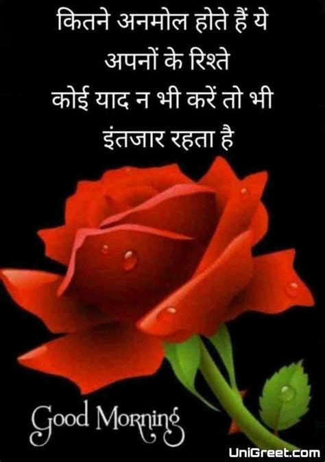 Good Morning Quotes With Flower In Hindi | Best Flower Site