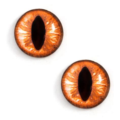 Amber Cat Glass Eyes – Handmade Glass Eyes