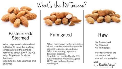 what's the diff raw-and-unpasteurized-almonds-003 - The Whole Transformation The Whole ...