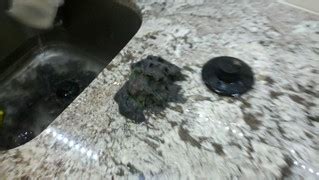 LG combo washer dryer lint at 8mo | This is what was removed… | Flickr