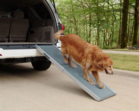 5 Best Dog Ramps for Cars/SUVs/Trucks 2019 | Pawgearlab