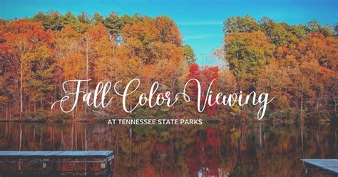 Where and When to View Fall Colors in Tennessee State Parks — Tennessee State Parks