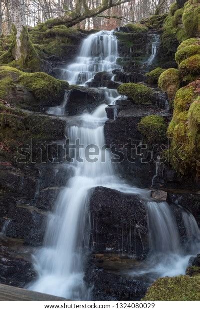 Birks Aberfeldy Circular Walk Through Mature Stock Photo 1324080029 ...