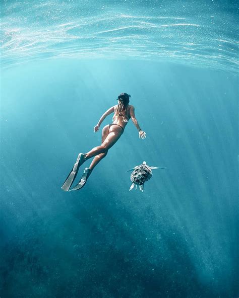 Underwater Photography, Nature Photography, Travel Photography, Street ...