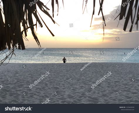 Aruba Beach Sunset Stock Photo 1225663039 | Shutterstock