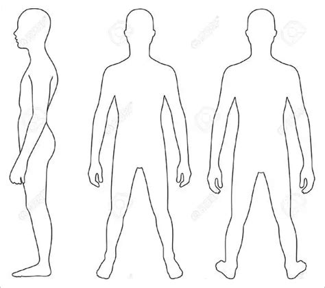 [DIAGRAM] Muscular Body Diagram Blank - MYDIAGRAM.ONLINE