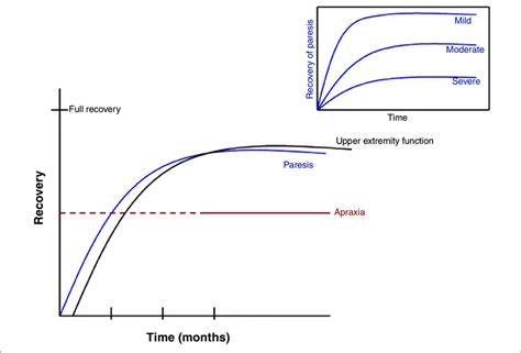 Schematic of time course of recovery after injury. Inset illustrates... | Download Scientific ...