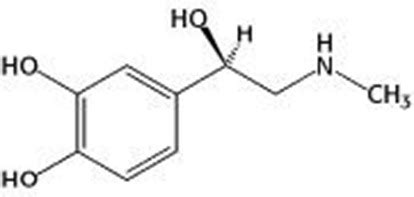 Bio Gallery: Epinephrine structure