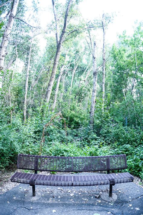 150821-bench-park-forest-green.jpg | neutra-film; basic neut… | Flickr