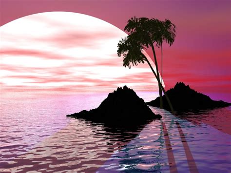 Pin by Sherri Cope on Everything PINK>>>>> | Palm tree sunset, Sunset