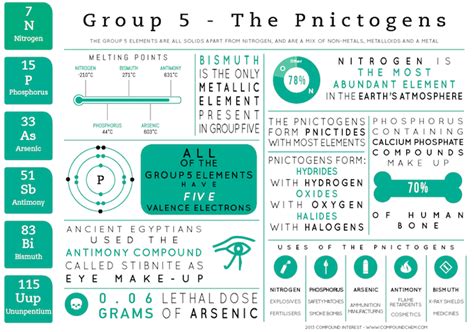 Element Infographics – Group 5 | Compound Interest