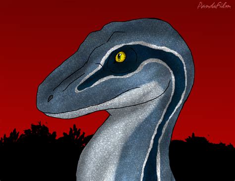 Velociraptor: Blue of the Raptor Squad by PandaFilmsG on DeviantArt