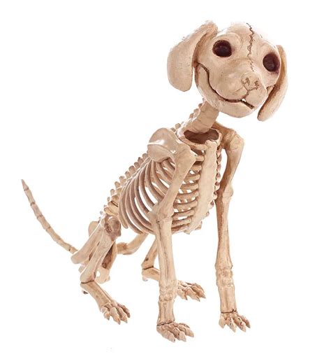 High Qualtity Skeleton Dog Puppy Skeleton Animal Bones for Horror Halloween Party Home Decor ...