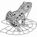 Frog Coloring Color Pages Frogs Printable Tree Kids Outline Cute  sketch template