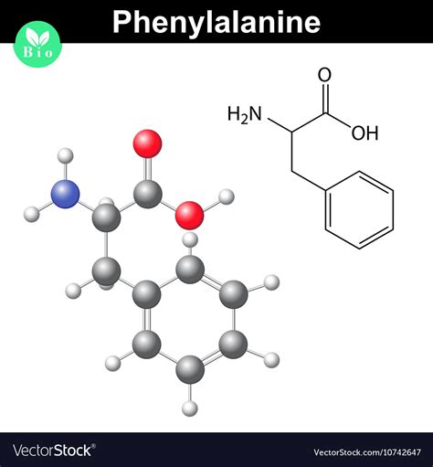 Phenylalanine essential amino acid Royalty Free Vector Image