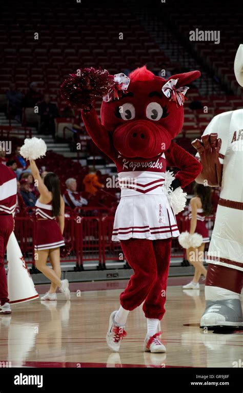 Arkansas Razorbacks Mascot Coloring Pages