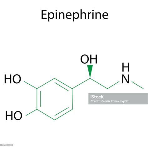 Epinephrine Formula Chemical Molecule Adrenaline Molecular Structure ...