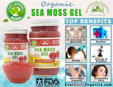 Organic Sea Moss Gel (16 OZ) Raspberry Sea Moss Gel - Wildcrafted Sea ...