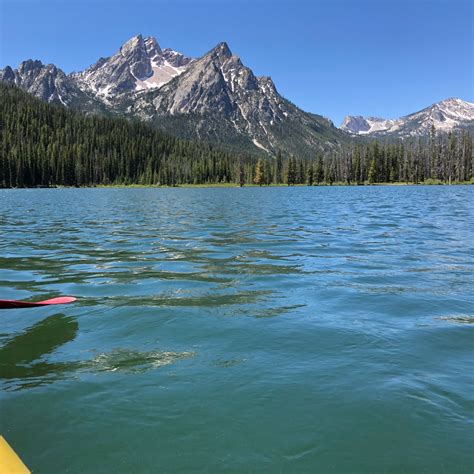 Best camping in Salmon-Challis National Forest | The Dyrt