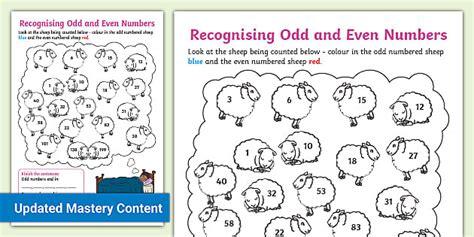 Recognising Odd and Even Numbers Worksheet worksheet