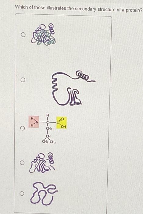 Solved Which of these illustrates the secondary structure of | Chegg.com