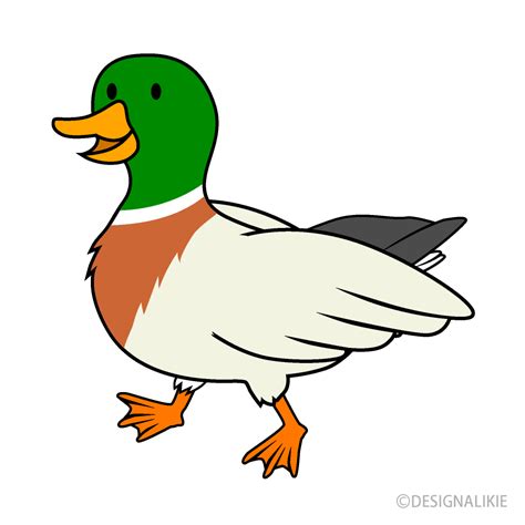 Duck Clipart Png