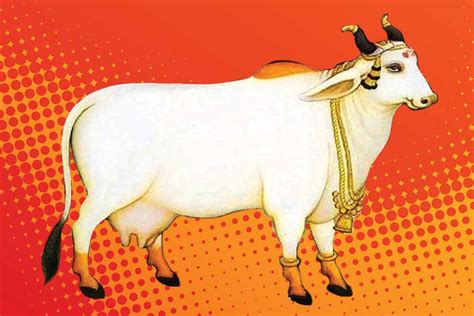 Hindus and Sacred Cows: Recipe for Indentity Politics - Open The Magazine