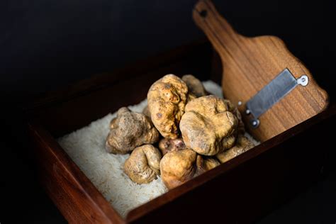 Alba white truffles take centre stage on The Manor’s new seasonal menu