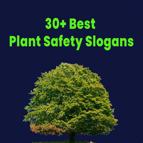 30+ Best Plant Safety Slogans