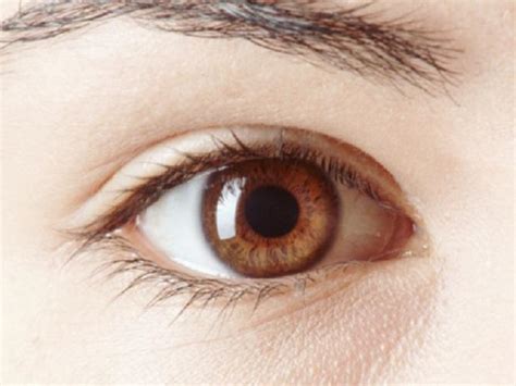 Los ojos marrones generan más confianza - Salud a la Vista, El Sitio de ...