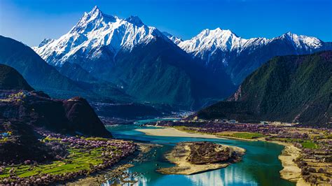 Live: Peach blossoms along the world's deepest canyon in China's Tibet ...