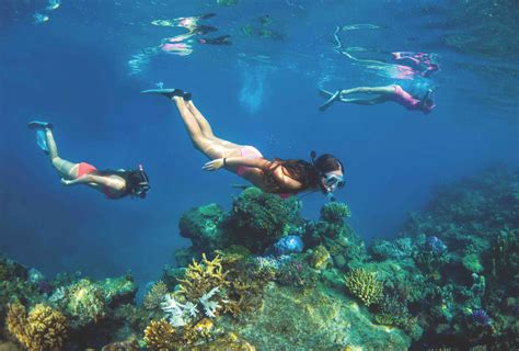 Fiji Cruising, a Dive Lovers Dream - Pacific Island Living - Travel & Tourism Guide