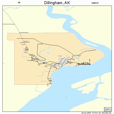 Dillingham Alaska Street Map 0218950