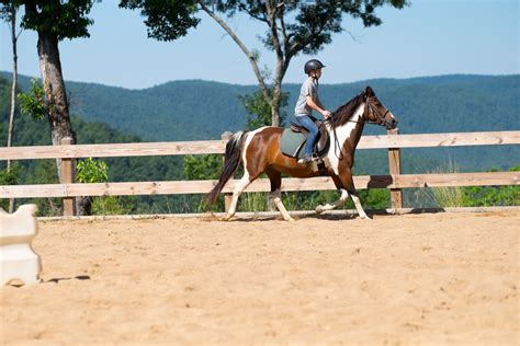 Horseback Riding