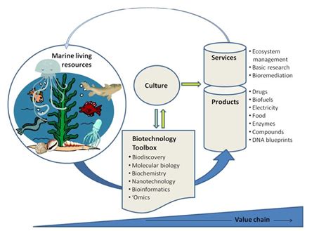 Category:Marine Biotechnology - Coastal Wiki