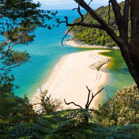 The Best Beaches In New Zealand | Glowworm caves new zealand, Beach, Tasman national park