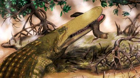 The oldest crocodile so far found was 30 feet long had a shield for a head