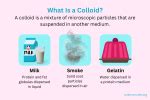 What Is a Colloid? Definition and Examples