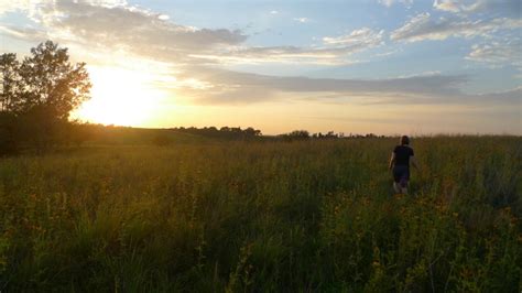 The future of Iowa’s landscape | Iowa Environmental Focus