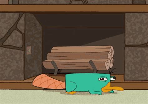 Phineas And Ferb Perry The Platypus GIF - PhineasAndFerb PerryThePlatypus AgentP - Discover ...