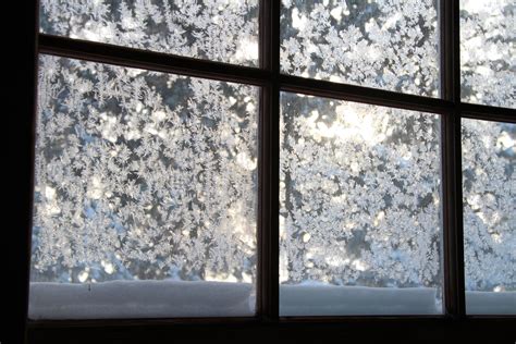 Frosted Windows Free Stock Photo - Public Domain Pictures